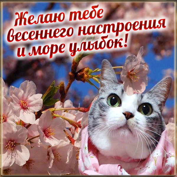 Доброго весеннего утра и хорошего дня