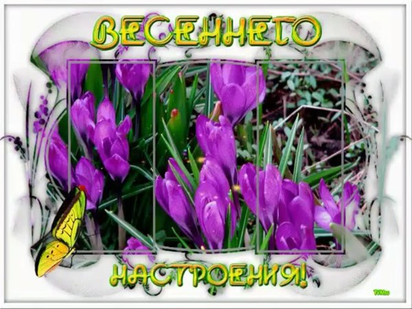 С добрым весенним утром