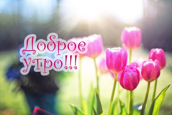 Удачного весеннего дня