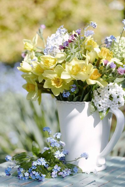 Доброе утро с птичками