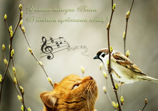 Весеннего настроения пожелания