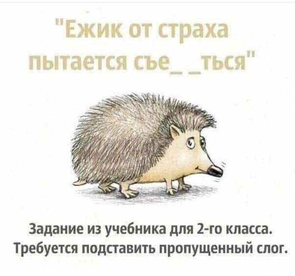 Ёжик от страха пытается
