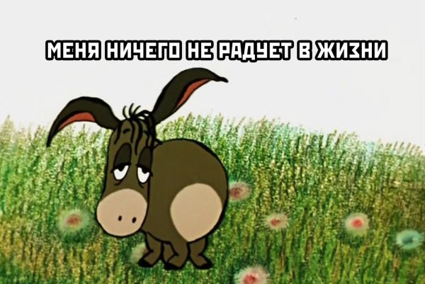 Хвост ослика ИА