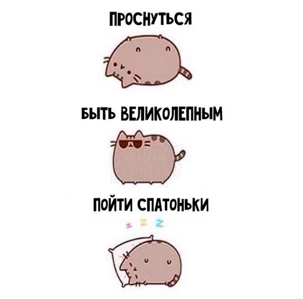 Планы на день быть великолепным