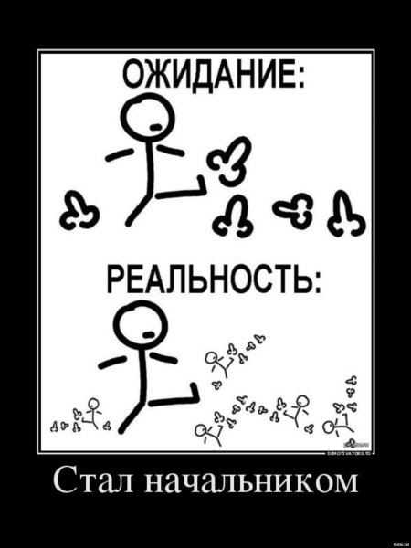 План на день прикол