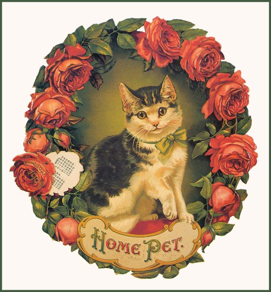 Винтажные коты