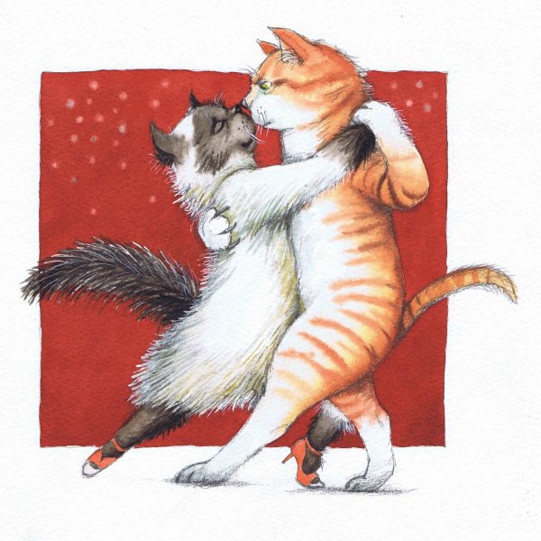 Мартовский кот