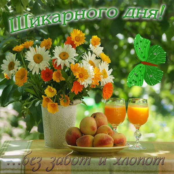 Доброе летнее утро