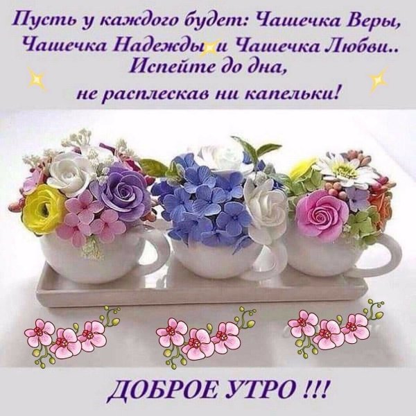 Открытка с добрым утром и счастливым днем