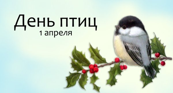 С днем птиц поздравления