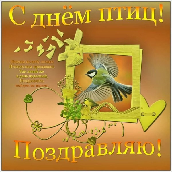 Международный день птиц