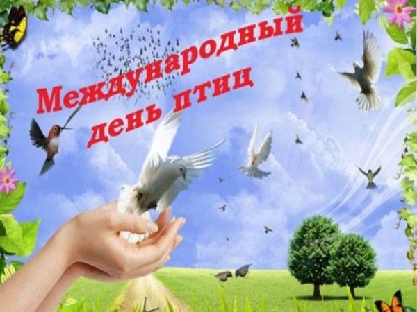 Всемирный день птиц