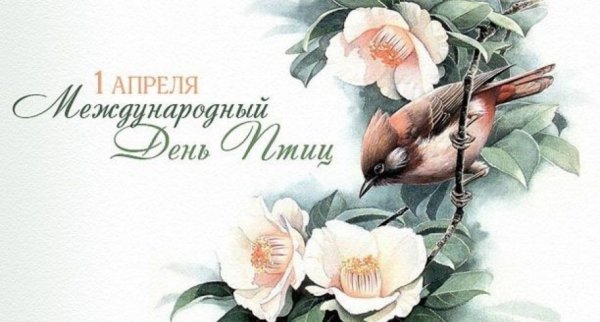 1 Апреля Международный день птиц