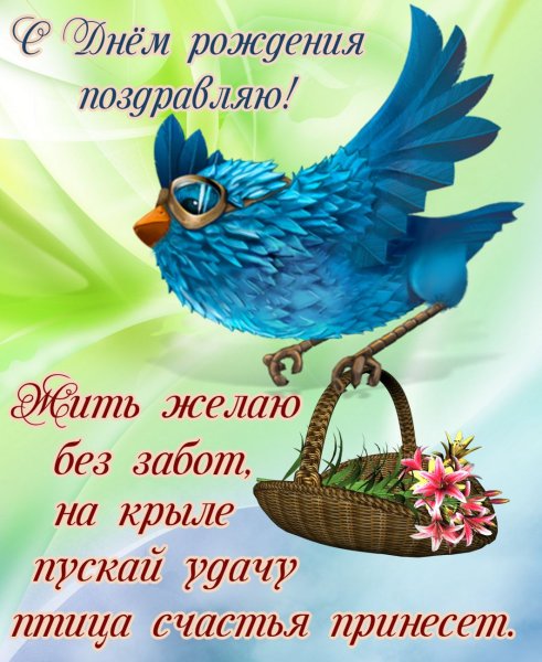 Международный день птиц