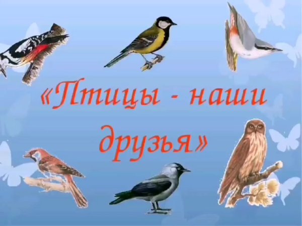 Доброе утро с птичками
