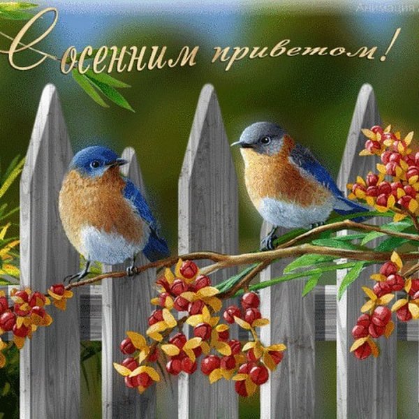 12 Ноября Синичкин календарь