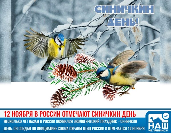Алмазная мозаика попугаи неразлучники