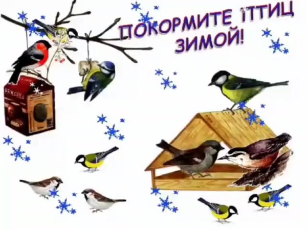 Надпись мир птиц