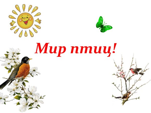 День птиц фото много