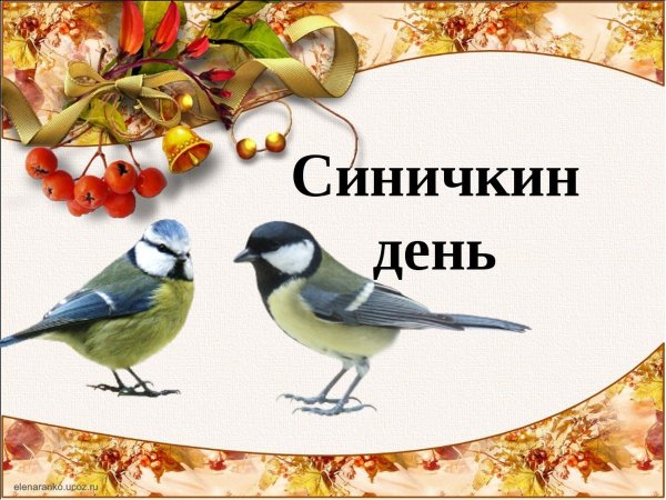Выставка рисунков пернатые друзья
