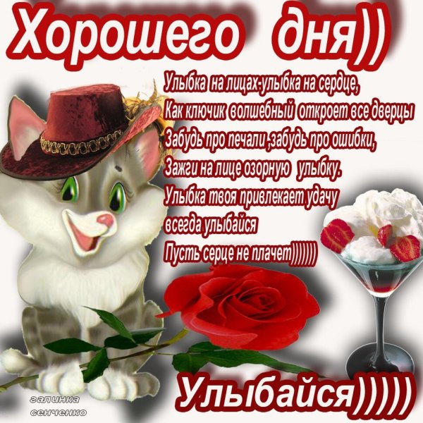 Открытки с пожеланиями хорошего дня