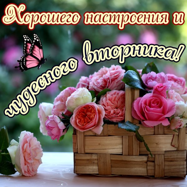 Открытка прекрасный день