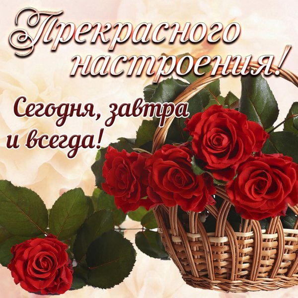 Поздравления с хорошим настроением