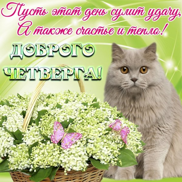 Поздравление с четвергом