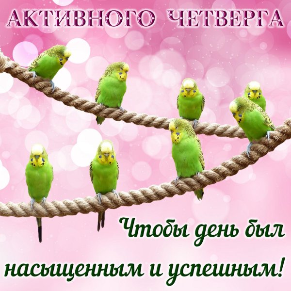 Четверг хорошего дня