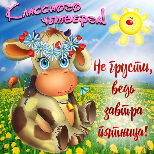 Смешные пожелания доброго дня