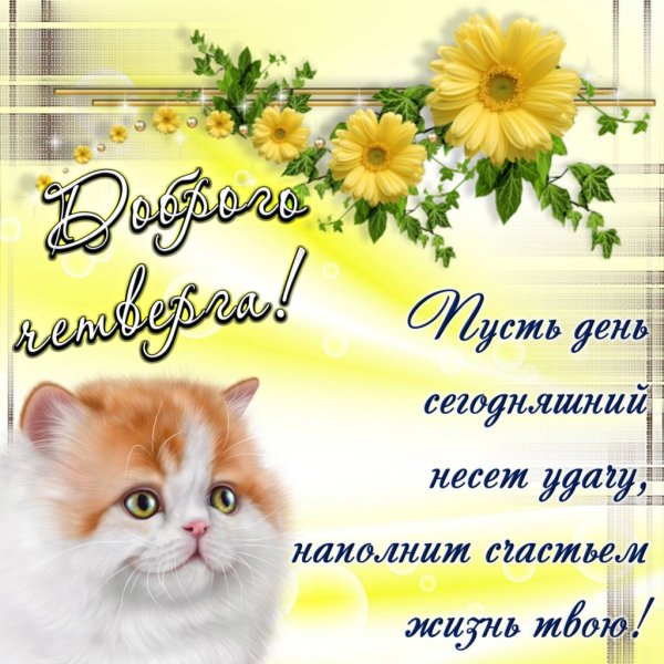 Поздравления с хорошим днем