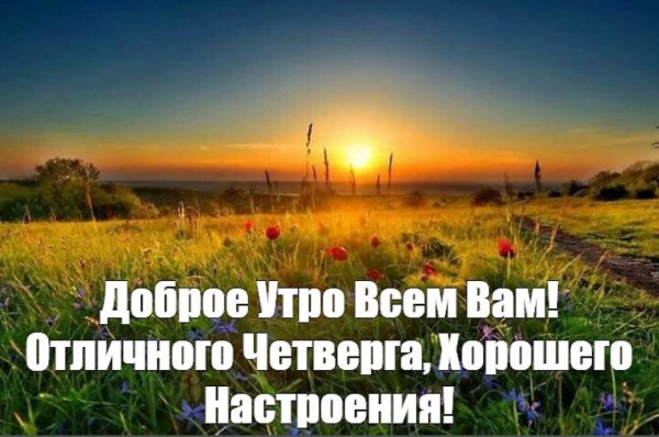 Доброе летнее утро четверга