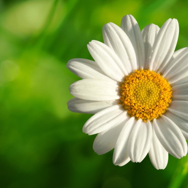 Всемирный день борьбы с туберкулезом