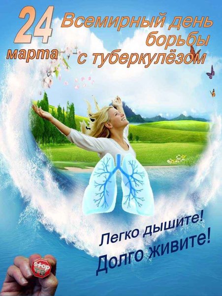 24 Марта белая Ромашка туберкулез