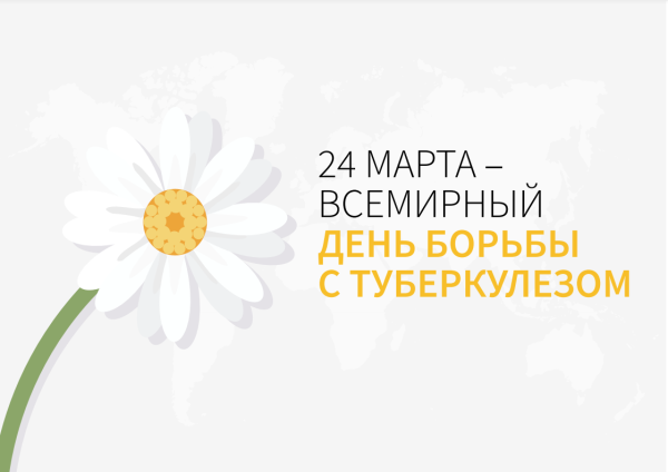 24 Марта белая Ромашка туберкулез
