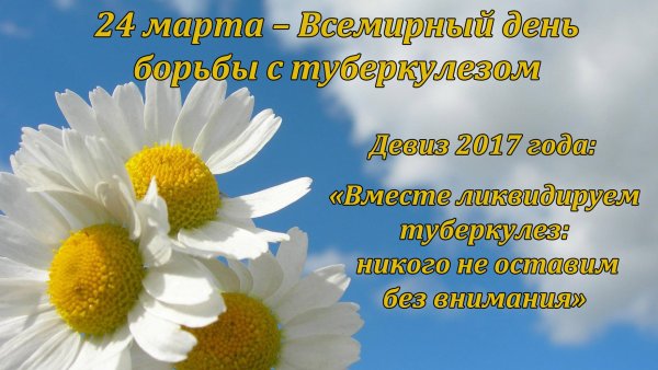 24 Марта туберкулез акция белая Ромашка
