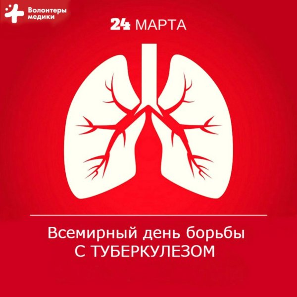 День семьи любви и верности 2019