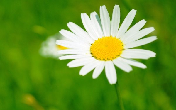 Всемирный день борьбы с ту