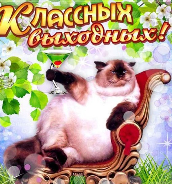 Открытка "выходной"