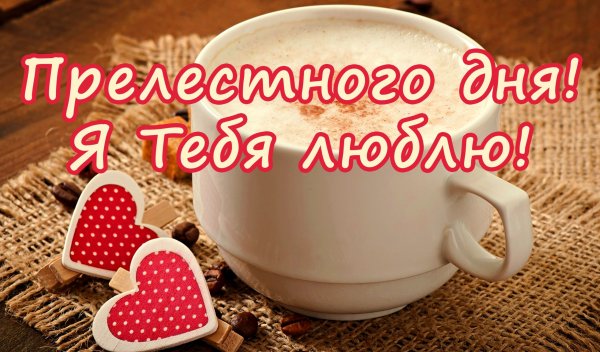 Хорошего дня любимый