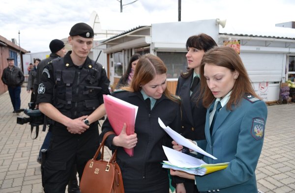Налоговая полиция