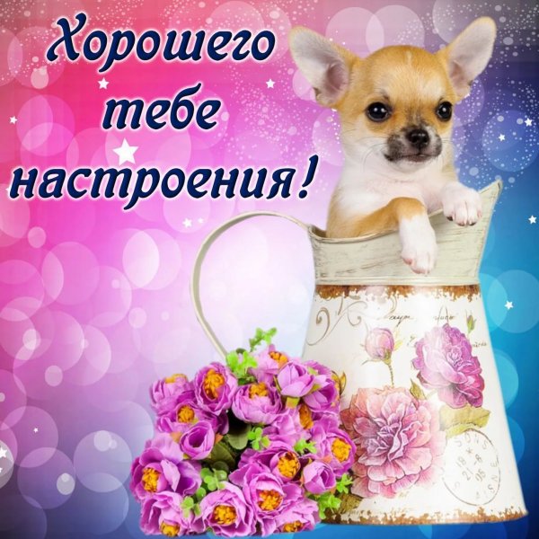 Открытка хорошенотнастроения
