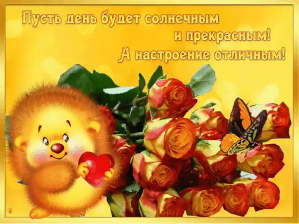 Хорошего дня и отличного нас