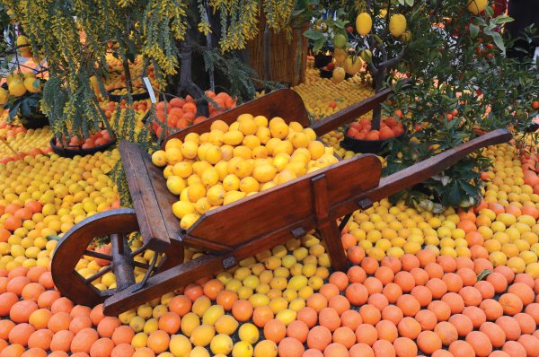 Варенье из крыжовника с апельсином