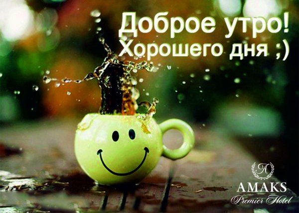 Доброе уто и хорогего Лея