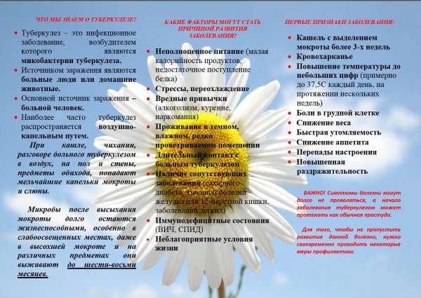 Организация борьбы с туберкулёзом этапы