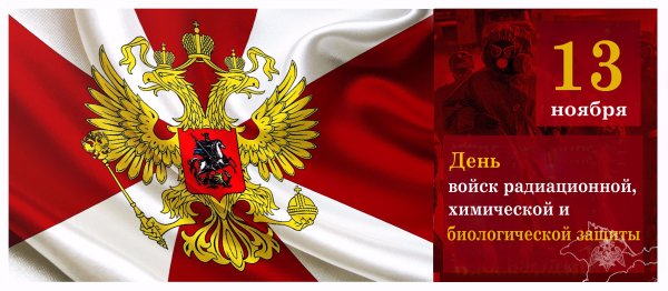 Внутренние войска МВД РФ. (Национальная гвардия)