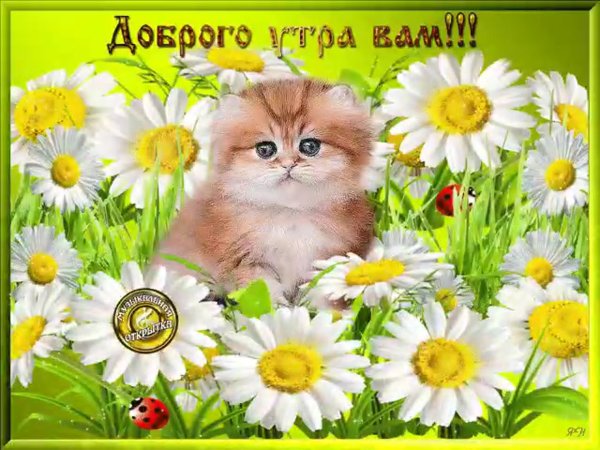 Доброго вам утра