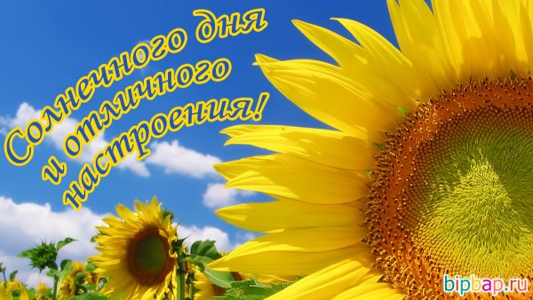 Солнечный день картинки