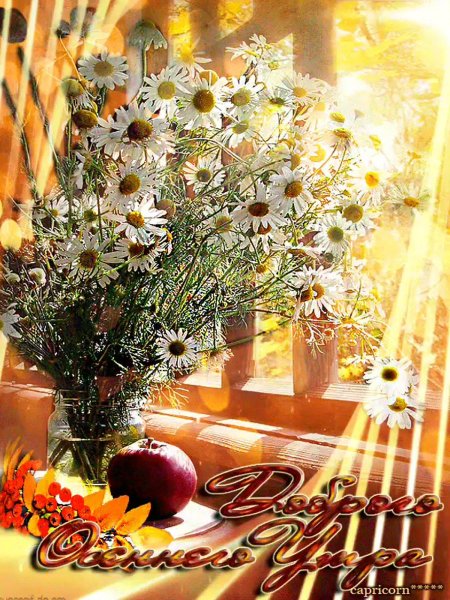 С добрым осенним утром